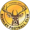 Bashley logo