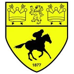 Newmarket Town logo